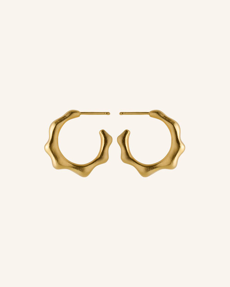 Aqua Hoops GOLD