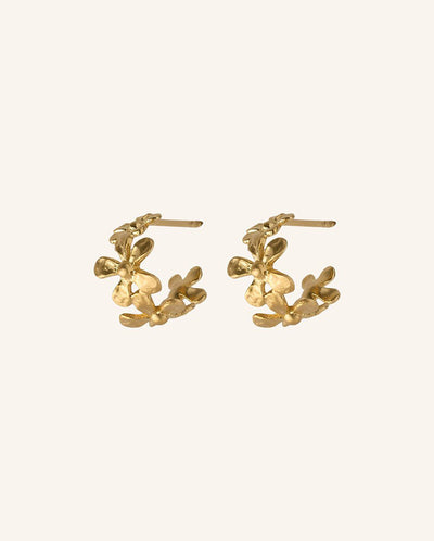 Wild Poppy Hoops GOLD