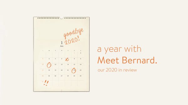 A year with Meet Bernard: our 2020 in review