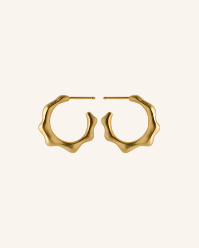 Aqua Hoops GOLD