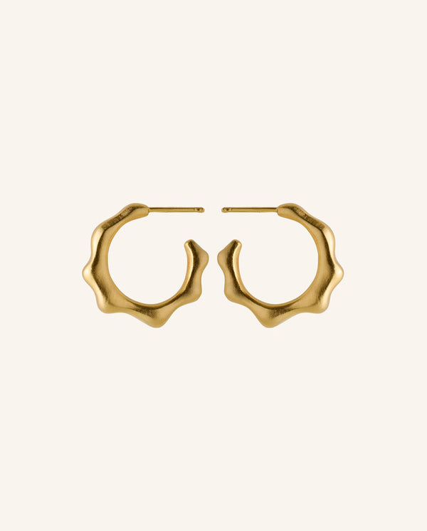 Aqua Hoops GOLD