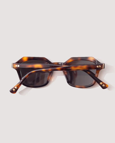 Diego Tortoise / Green