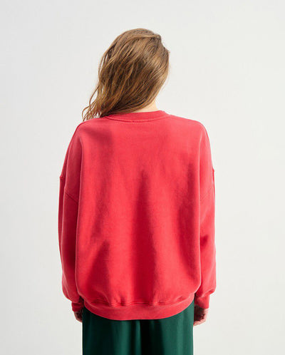 Plizzy Crew Neck Sweat - Vintage volcano