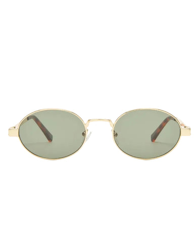 Forest Havana Grey Solid Lens