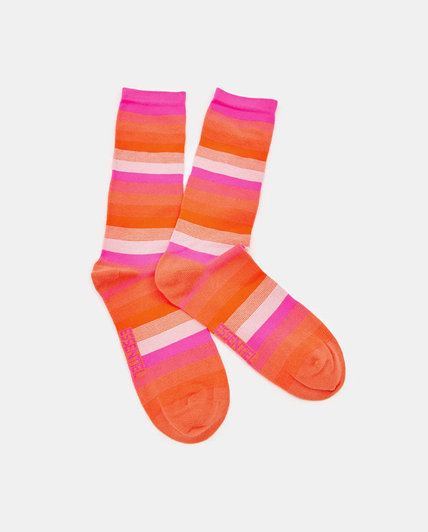 Flogo Stripe Sock Wild Strawberry
