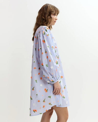 Jalen Embroidered Mini Dress - Lake Blue Combo