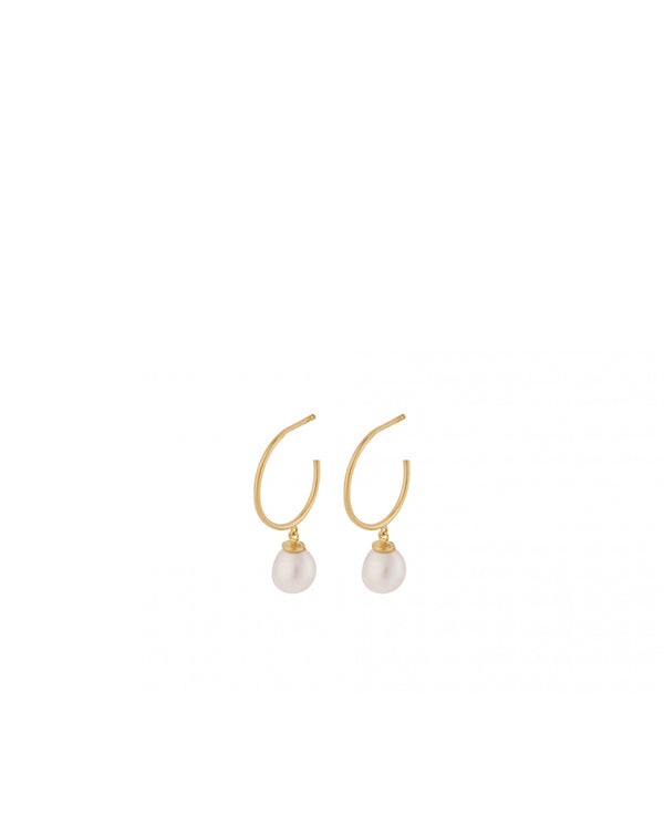 Ocean Dream Hoops GOLD